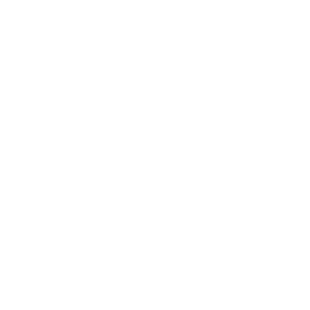 SpringRun